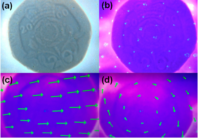 image of the sensor detecting heat